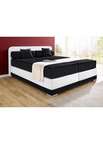 Boxspringbett Maintal "Lago", schwarz-wei&szlig; (schwarz, wei&szlig;), B:167cm L:210cm, Bezug Kopteil und seitliche Unterbox wahlweise Microvelours aus 100% Polyester oder Kunstleder;DIe Obermatratze ist bei beiden Bezugsqualit&auml;ten mit Microfaser (100% Polyester) bezogen, Unterseite 100% Baumwolle;Das Kopfteil ist bei Microvelours an den Ecken abgerundet, bei Kunstleder gerade;Bezug der Oberseite aus strapaz