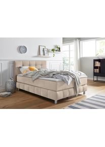 Boxspringbett Home Affaire "Salo XXL", beige, B:154cm L:231cm, Komplettbetten, Boxspringbett, in Samtoptik oder Struktur, 6 Breiten in &Uuml;berl&auml;nge 220cm, 4 H&auml;rtegrade