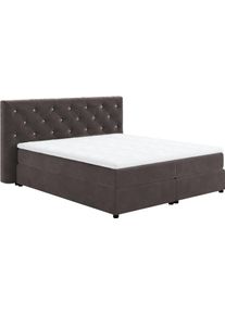 Boxspringbett COTTA "Castle", grau (stone), B:207cm L:222cm, 100% Polyester (PES), Komplettbetten, Boxspringbett, mit Strasssteinen im Kopfteil, inkl. Topper
