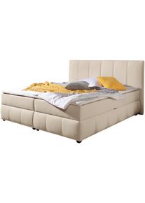 Boxbett OTTO HOME "Hartley inkl. Bettkasten und Topper, auch in &Uuml;berl&auml;nge erh&auml;ltlich", beige, B:192cm L:230cm, Komplettbetten, Boxbett, wahlweise mit Bonnell- oder TTFK-Matratze in H2, H3 o. H4 erh&auml;ltlich