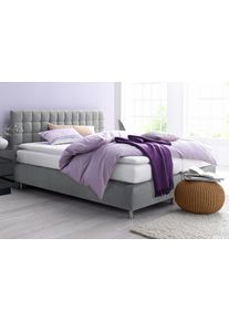 Boxspringbett, grau, B:195cm L:210cm, Microvelours (100% Polyester);Strukturstoff (77% Polyester und 23% Viskose);Bonnell-Federkern-Matratzenbezug: 100% Polyester;Kaltschaum-Matratzenbezug: Frottee 100% Polyester, Westfalia Schlafkomfort, Komplettbetten, Boxspringbett