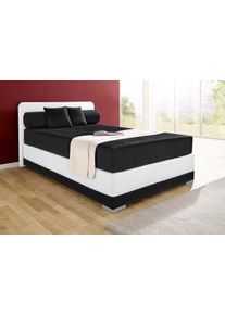 Boxspringbett Maintal "Lago", schwarz-wei&szlig; (schwarz, wei&szlig;), B:147cm L:210cm, Bezug Kopteil und seitliche Unterbox wahlweise Microvelours aus 100% Polyester oder Kunstleder;DIe Obermatratze ist bei beiden Bezugsqualit&auml;ten mit Microfaser (100% Polyester) bezogen, Unterseite 100% Baumwolle;Das Kopfteil ist bei Microvelours an den Ecken abgerundet, bei Kunstleder gerade;Bezug der Oberseite aus strapaz