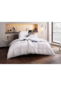 H&auml;ussling Daunenbettdecke HAEUSSLING "Kristall Edition", wei&szlig;, B:240cm L:220cm, Bezug: 100% Baumwolle. F&uuml;llung: 60% Daunen, 40% Federn, Bettdecken, Daunenbettdecke