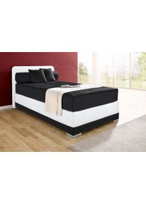 Boxspringbett Maintal "Lago", schwarz-wei&szlig; (schwarz, wei&szlig;), B:97cm L:210cm, Bezug Kopteil und seitliche Unterbox wahlweise Microvelours aus 100% Polyester oder Kunstleder;DIe Obermatratze ist bei beiden Bezugsqualit&auml;ten mit Microfaser (100% Polyester) bezogen, Unterseite 100% Baumwolle;Das Kopfteil ist bei Microvelours an den Ecken abgerundet, bei Kunstleder gerade;Bezug der Oberseite aus strapazi