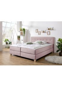 Boxspringbett Home Affaire "Fargo", lila (flieder), B:193cm L:227cm, Struktur fein (100% Polyester);Samtstoff (100% Polyester), Komplettbetten, Boxspringbett, in &Uuml;berl&auml;nge 220 cm, mit Topper, 3 Ausf&uuml;hrungen, 4, Breiten