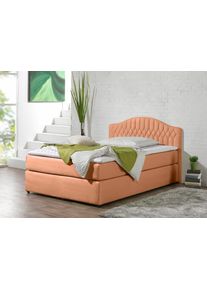 Boxspringbett Maintal, orange (terra), Liegefl&auml;che B/L: 100cm x 200cm, H3, 5-Zonen-Tonnentaschen-Federkernmatratze, Seitliche Einfassung Unterbox und Obermatratze: Mikrovelours (100% Polyester);Spiegelfl&auml;che der Unterbox und Obermatratze: 100% Polyester, Komplettbetten, Boxspringbett, in diversen Ausf&uuml;hrungen