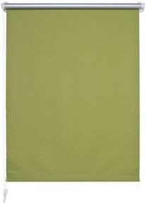 Seitenzugrollo Liedeco Gr. 8, gr&uuml;n (apfelgr&uuml;n), B:80cm H:210cm, Polyester, Rollos, Seitenzugrollo