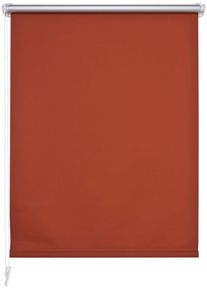 Seitenzugrollo Liedeco Gr. 7, orange (terra), B:120cm H:150cm, Polyester, Rollos, Seitenzugrollo
