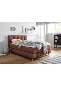 Boxspringbett Home Affaire "Salo XXL", braun, B:154cm L:231cm, Komplettbetten, Boxspringbett, in Samtoptik oder Struktur, 6 Breiten in &Uuml;berl&auml;nge 220cm, 4 H&auml;rtegrade