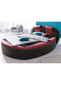 Rundbett, bunt (schwarz, bordeauxrot), B:220cm L:230cm, Bezug Bett: Kunstleder;Bonnell-Federkernmatratze: 51% Polypropylen, 39% Polyester, 10% Baumwolle;Kaltschaummatratze: 100% Polyester, Bezug abnehm- und waschbar bis 60C, Westfalia Schlafkomfort, Betten, Rundbett, mit Bettkasten