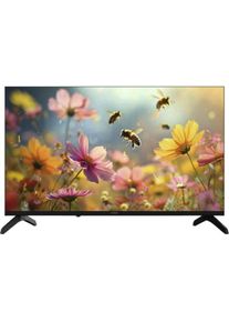 Strong 32 HD Android TV HTM (SRT32HH5553) (32", LED, HD), TV, Schwarz