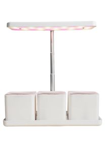 Enne Interior, Pflanzenlampe, Ark Grow Light and Self-Watering Tray (LED)