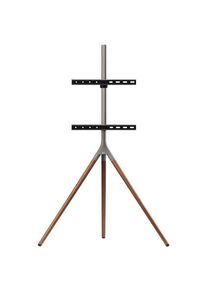 ONEFORALL WM7471 30 kg 65" 200 x 100 mm