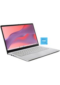 ASUS Chromebook &raquo;CX14 CX1405CTA-S60607&laquo; 35,6 cm / 14 &prime;&prime; Intel N-Reihe UHD 128 GB SSD ChromeOS