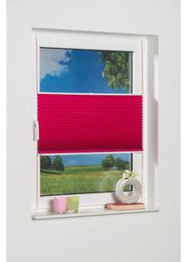 Plissee K-home "Klemmfix Pisa" Gr. 8, pink (fuchsia), B:110cm H:130cm, Obermaterial: 100% Polyester, Plissees, Plissee