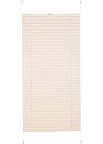Plissee K-home "Klemmfix Pisa" Gr. 4, beige (creme), B:70cm H:130cm, Obermaterial: 100% Polyester, Plissees, Plissee