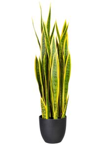 K&uuml;nstliche Zimmerpflanze Creativ green "Sanseveria", gr&uuml;n (gr&uuml;ngelb), B:16,5cm H:90cm, Kunststoff, Kunstpflanzen, K&uuml;nstliche Zimmerpflanze
