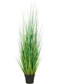Kunstgras CREATIV GREEN "Grasbusch Miscanthus", gr&uuml;n, H:145cm, Kunststoff, Kunstpflanzen, Kunstgras, mit naturgetreuen Grashalmen