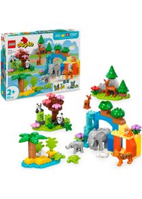 Konstruktionsspielsteine Lego "Wildtier-Familien 3-in-1-Set (10446), Lego DUPLO Town", bunt, Spielbausteine, Kinder, Kunststoff, Konstruktionsspielsteine, Made in Europe