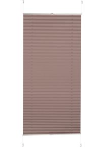 Plissee K-home "Klemmfix Pisa" Gr. 10, braun (latte), B:70cm H:210cm, Obermaterial: 100% Polyester, Plissees, Plissee