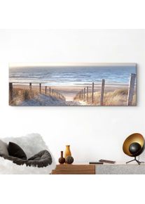 Deco-Panel REINDERS "D&uuml;nenweg", gr&uuml;n (farbe bild(er): khaki), B:156cm H:52cm, MDF, Bilder, Deco-Panel, 156/52 cm