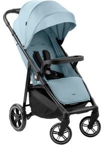 Kinder-Buggy hauck "Shop N Care, Dusty Blue", Baby, blau (dusty blau), Kinderwagen Kinder-Buggy, bis 22 kg belastbar; kompatibel mit Babyschale