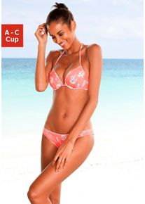Push-Up-Bikini-Top Sunseeker "Ditsy", Damen, Gr. 40, Cup A, orange (orange, bedruckt), Microfaser, Polyamid, gebl&uuml;mt, Bikini-Oberteile Push-Up-Bikini-Top, mit H&auml;kelkante