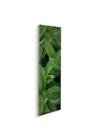 Leinwandbild Komar "Ancilla - Gr&ouml;&szlig;e 30 x 90 cm", gr&uuml;n (farbe bild(er): gr&uuml;n, schwarz), B:30cm, Massivholz, Papier, Bilder, Leinwandbild, Keilrahmenbild mi Echtholzrahmen