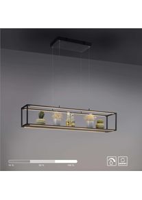 OTTO HOME LED Pendelleuchte "Civva H&auml;ngeleuchte inkl. Abstellfl&auml;che z.B. f&uuml;r Deko, Blumen, Gew&uuml;rze", schwarz, 4, H: 120cm, 1 Stk., Leuchten, warmwei&szlig;es Licht, 3000 K, 3-Stufen-Touchdimmer, Pendellampe, LED Pendelleuchte