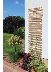 Rankhilfe Dobar, braun (honigbraun), B:50cm H:200cm, Edelstahl, Massivholz, Rankhilfen, Rankhilfe, LxB: 50x200 cm, Haselnuss