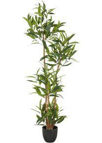 Kunstbaum Creativ green "Ficus maclellandii", gr&uuml;n, H:150cm, Kunststoff, Kunstpflanzen, Kunstbaum, mit echtem Holzstamm