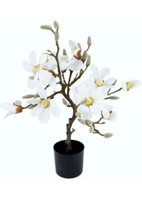 Kunstbaum I.GE.A. "Magnolienbaum", wei&szlig;, B:50cm H:58cm, Obermaterial: 90% Kunststoff, 10% Polyester, Kunstpflanzen, Kunstbaum, im Kunststofftopf