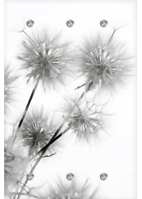Garderobenleiste queence "Pusteblume", wei&szlig;, B:80cm H:120cm T:5cm, Acrylglas, Edelstahl, Garderobenhalter, Garderobenleiste, mit 6 Haken, 80 x 120 cm