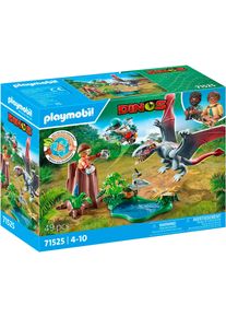 Konstruktions-Spielset Playmobil "Beobachtungsstation f&uuml;r Dimorphodon (71525), Dinos", bunt, Spielbausteine, Kinder, Kunststoff, Konstruktions-Spielset, Made in Europe