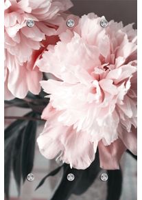 Garderobenleiste queence "Blume", rosa, B:80cm H:120cm T:5cm, Acrylglas, Edelstahl, Garderobenhalter, Garderobenleiste, mit 6 Haken, 80 x 120 cm