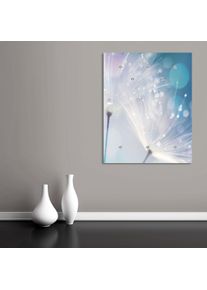 Garderobenleiste queence "Dandelion", blau (blau, wei&szlig;), B:100cm H:120cm T:3cm, Acrylglas, Garderobenhalter, Garderobenleiste, Wand Garderobe, Pflanze, Pusteblume, platzsparend