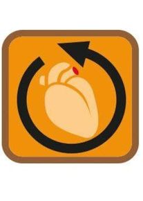 Janastyle, St&uuml;tzkniestr&uuml;mpfe &raquo;Fresh Travel, idealer Reise- und Alltagsbegleiter, 8-10 mmHg, &laquo; Set, 3 Paar, hoher Tragekomfort, wirkt antibakteriell, 