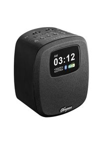 Sangean, Uhrenradio &raquo;DCR-83&laquo; (A2DP Bluetooth AVRCP Bluetooth FM-Tuner mit RDS ) DAB+, Farbdisplay, Bluetooth, USB zum Aufladen des Smartphones, Black,