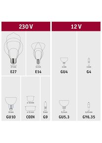 Paulmann, LED-Leuchtmittel &raquo;Smart Reflektor matt 350lm 2200K-6500K 230V&laquo; Tageslichtwei&szlig;, chromfarben,