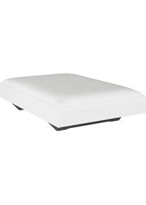 Rauch, Futonbett &raquo;Phoenix&laquo; ohne Kopfteil, wei&szlig; Hochglanz, Liegefl&auml;che L&auml;nge Breite: 200 cm x 140 cm, wei&szlig; Hochglanz