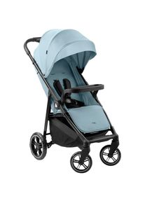 hauck, Kinder-Buggy &raquo;Shop N Care, Dusty Blue&laquo; 22 kg bis 22 kg belastbar; kompatibel mit Babyschale, dusty blue,