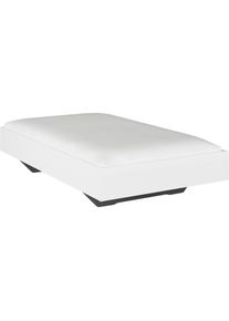 Rauch, Futonbett &raquo;Phoenix&laquo; ohne Kopfteil, wei&szlig; Hochglanz, Liegefl&auml;che L&auml;nge Breite: 200 cm x 120 cm, wei&szlig; Hochglanz