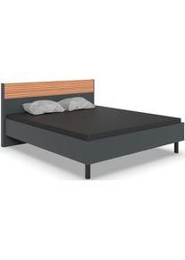 wimex, Bett &raquo;Rotterdam&laquo; Futonbett mit Akustiklamellen Nachbildung im Kopfteil, Graphit/ Absetzung Akustiklamellen Nachbildung in Artisan Eiche 