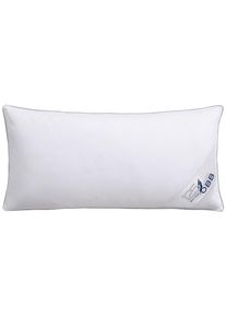 OBB, Federkopfkissen &raquo;Edition 125 Jahre, Kissen ist allergikerfreundlich, Made in Germany&laquo; F&uuml;llung: 90 % Federn, 10 % Daunen 1 Stk. tlg. Kopfkissen in