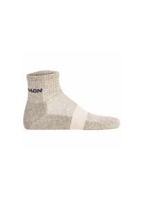 Salomon, Damen, Kurzsocken &raquo;Socken EVASION ANKLE 2P 2er Pack&laquo;, Grau, 36-38, Grau, Salomon Unisex Quartersocken 2er Pack