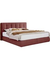 Boxspringbett Lavenito Rot ca. 200x200cm