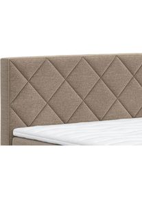 COTTA, Boxspringbett &raquo;Tower inkl. Bettkasten, mit Keder in abgesetzter Farbe&laquo; in verschiedenen Breiten, H&auml;rtegraden und Farben erh&auml;ltlich, elephant/