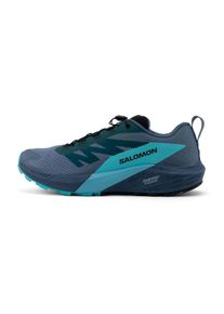 Salomon Sense Ride 5 GTX Homme