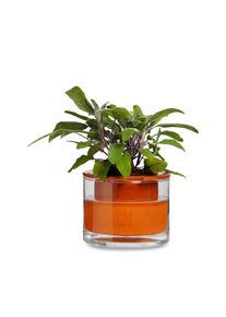 Natte Pot Systemen Planter