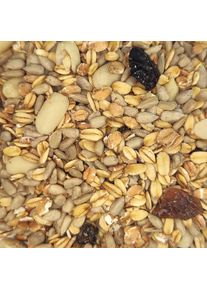 Wild Bird Food 20 kg, Premium Shell Free, Bird Seed, No Mess, Sunflower Seeds